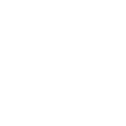 consulting TROUBLESHOOTING & CONSULTATIONS